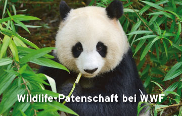 Sponsoring Wildlife Patenschaft WWF